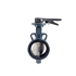Butterfly Valve Wafer (Cast Iron, Lever, 10K)