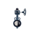 Butterfly Valve (Cast Iron, Gear, 10K)
