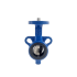Butterfly Valve (Cast Iron, Auto, 10K)