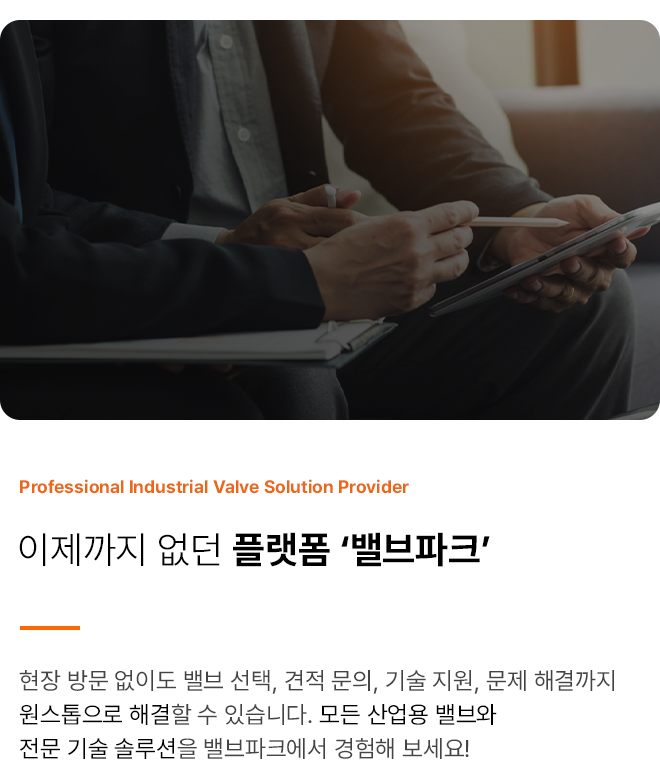 밸브파크 스토리