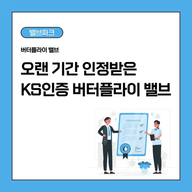 Korean Standard (KS) Certified Butterfly Valves: A Long Track Record in Industrial Service