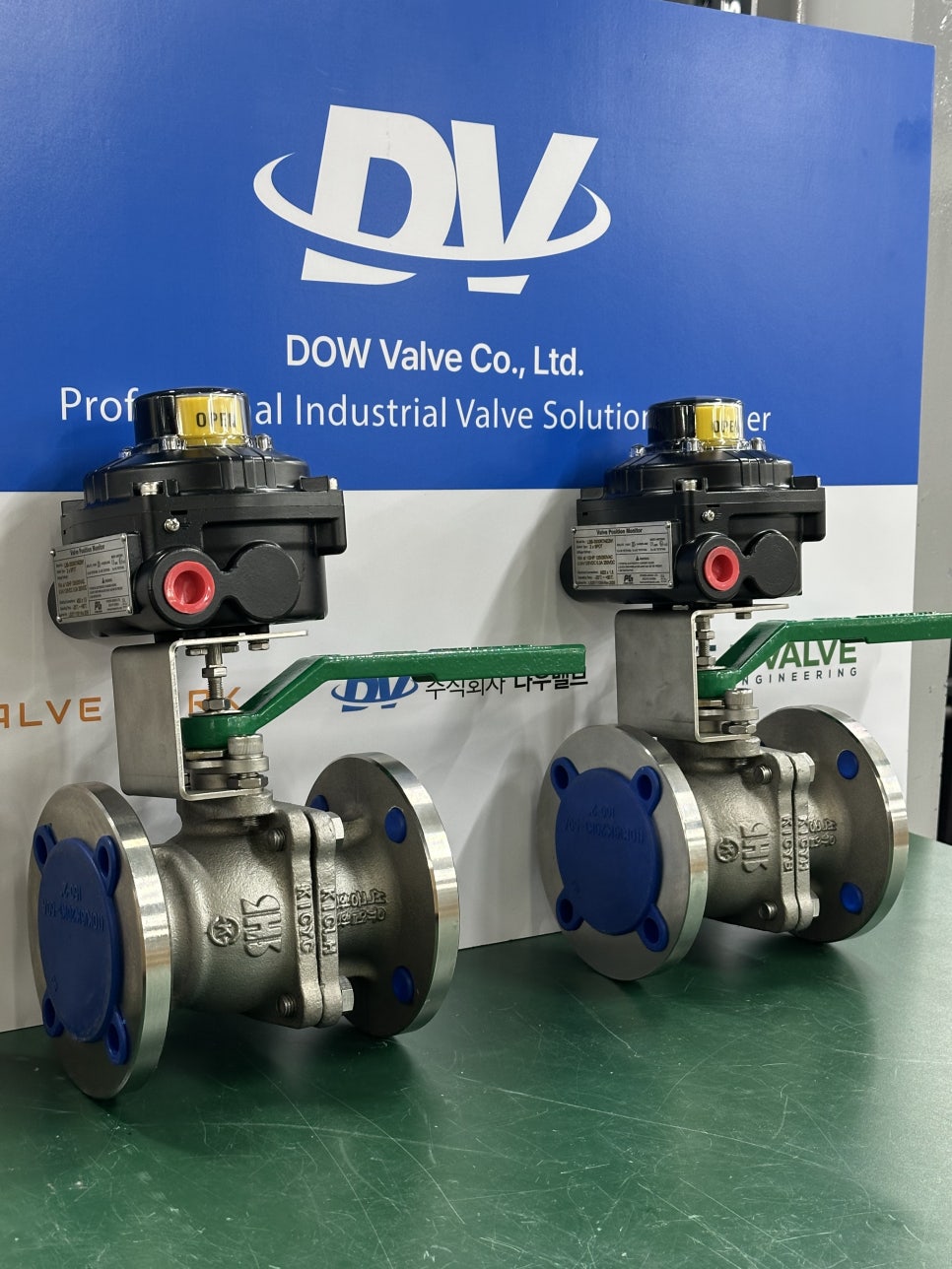 Custom Manual Valve Solution Born from a Field Problem: A Plant Expansion Case Study