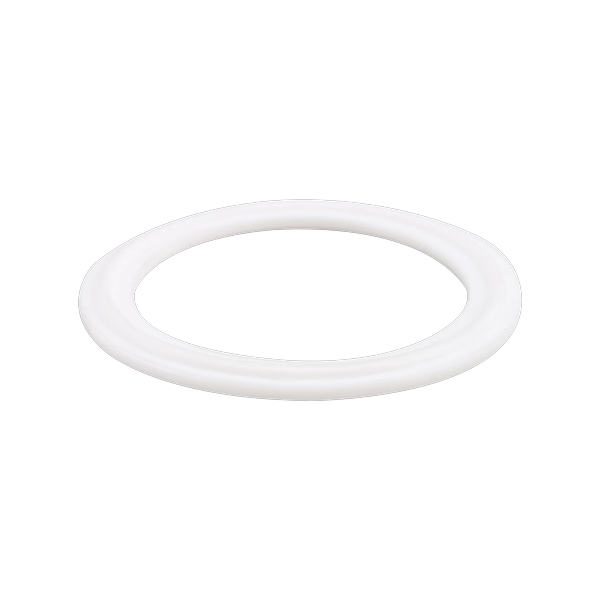 Sanitary Gasket (Teflon) PSF-08